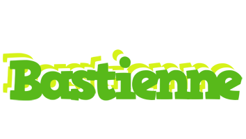 Bastienne picnic logo