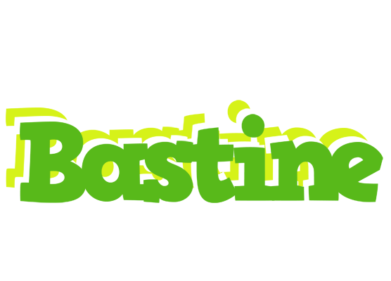 Bastine picnic logo