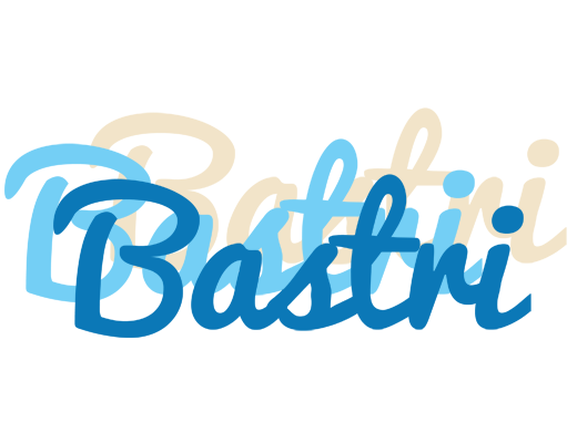 Bastri breeze logo