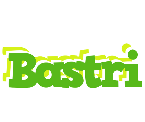 Bastri picnic logo