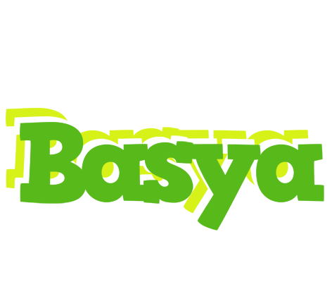 Basya picnic logo