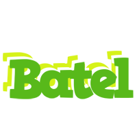 Batel picnic logo