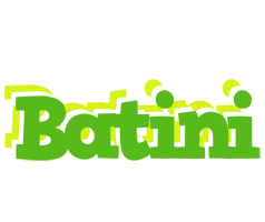 Batini picnic logo