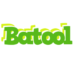 Batool picnic logo