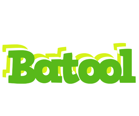 Batool picnic logo