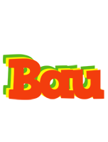 Bau bbq logo