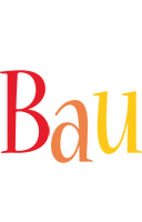 Bau birthday logo