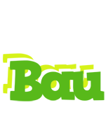 Bau picnic logo