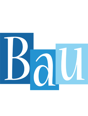 Bau winter logo