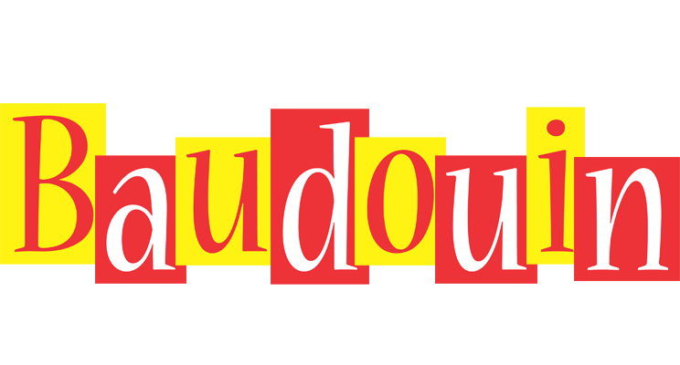 Baudouin errors logo