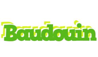 Baudouin picnic logo