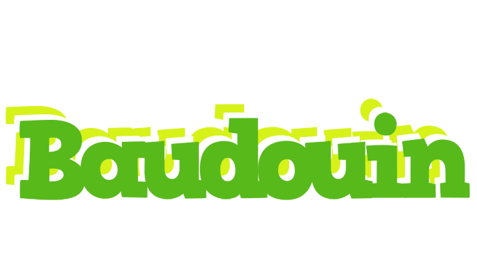 Baudouin picnic logo