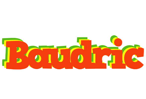 Baudric bbq logo