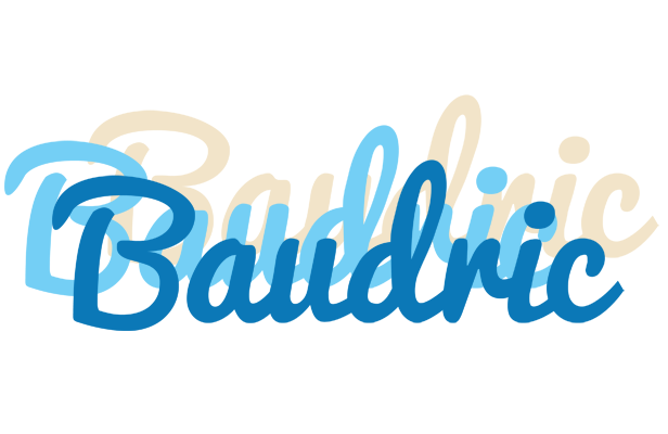 Baudric breeze logo
