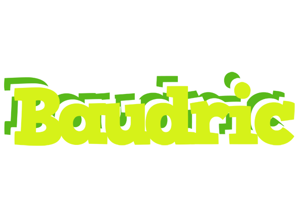 Baudric citrus logo