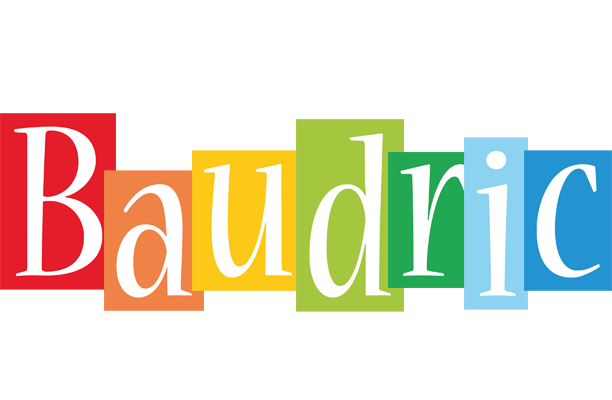 Baudric colors logo