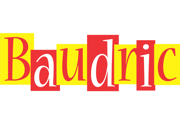 Baudric errors logo