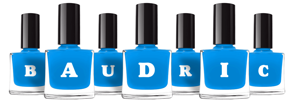 Baudric glossy logo