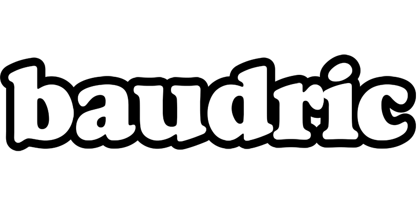 Baudric panda logo