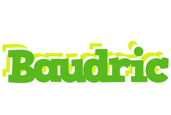 Baudric picnic logo