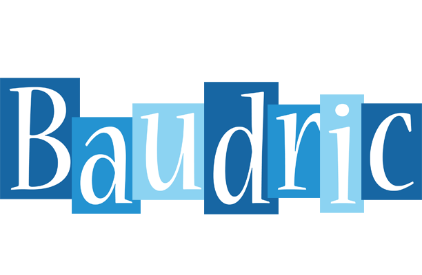 Baudric winter logo
