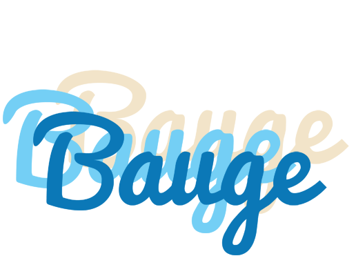 Bauge breeze logo