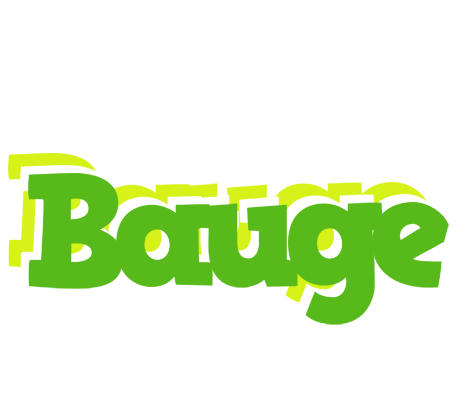 Bauge picnic logo