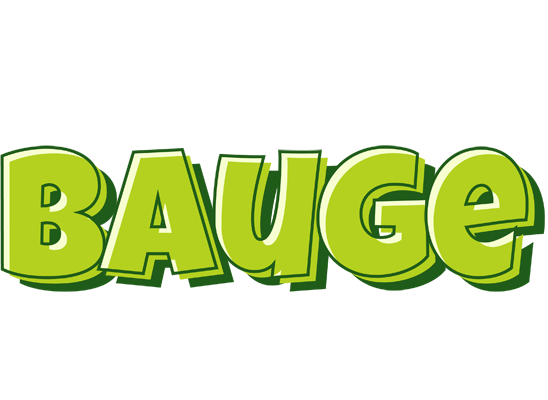 Bauge summer logo