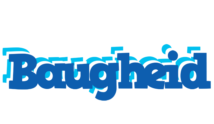 Baugheid business logo