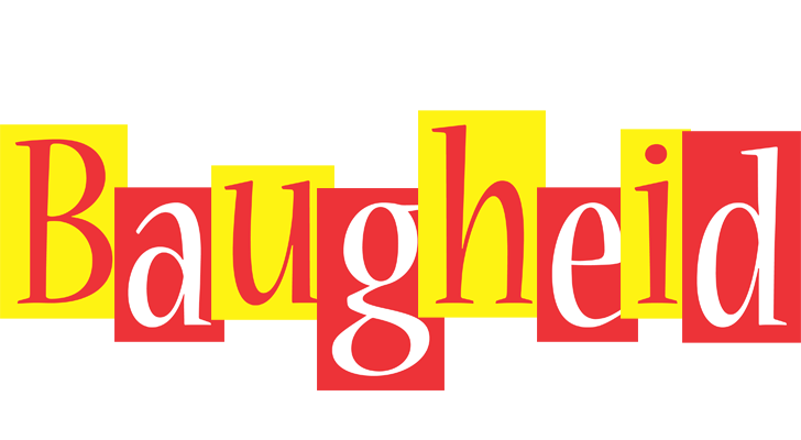 Baugheid errors logo