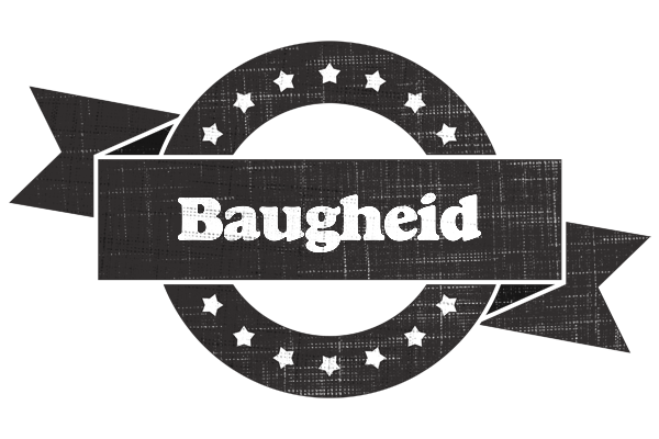 Baugheid grunge logo