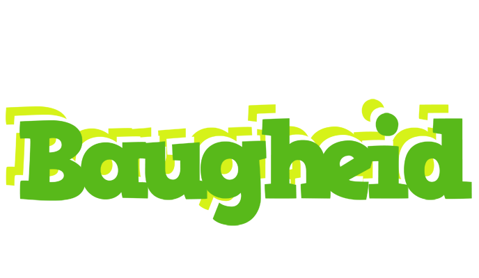 Baugheid picnic logo