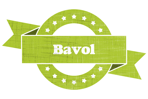 Bavol change logo