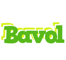 Bavol picnic logo