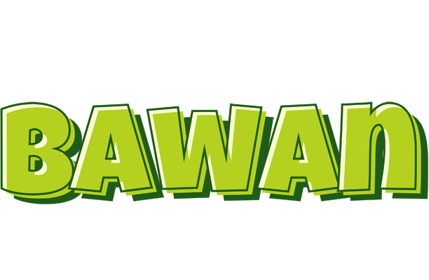 Bawan summer logo