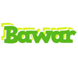 Bawar picnic logo