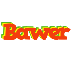 Bawer bbq logo