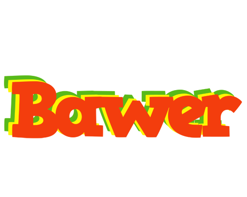 Bawer bbq logo