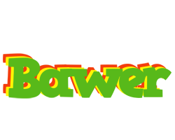 Bawer crocodile logo