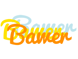 Bawer energy logo