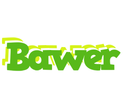 Bawer picnic logo