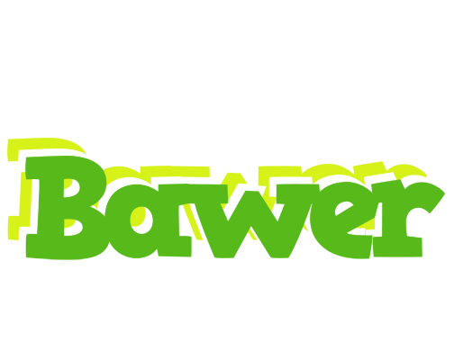 Bawer picnic logo