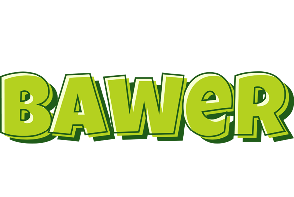 Bawer summer logo