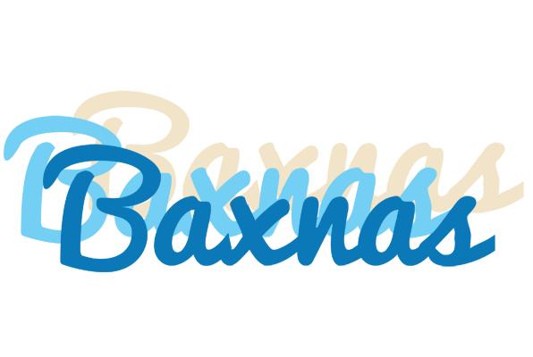Baxnas breeze logo