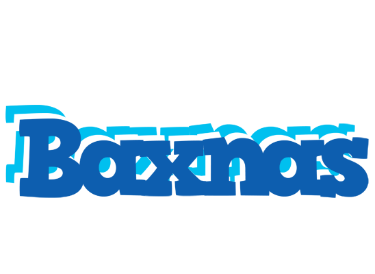 Baxnas business logo