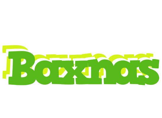 Baxnas picnic logo