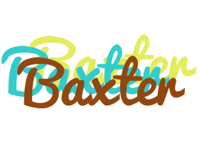 Baxter cupcake logo