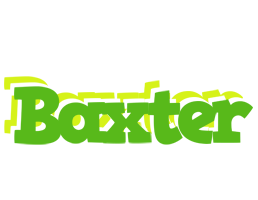 Baxter picnic logo