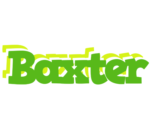 Baxter picnic logo
