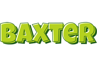 Baxter summer logo